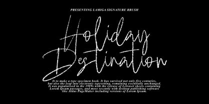 Lamiga Brush Font Poster 6