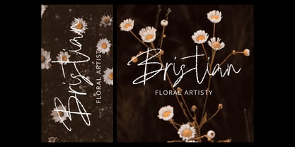 Lamiga Brush Font Poster 5