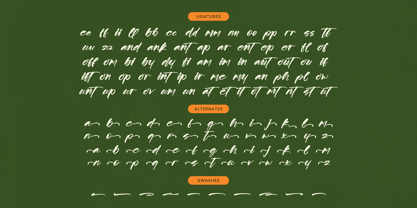 Scatqin Bounty Font Poster 15