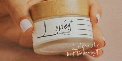 Cupcake Squishy Font Poster 9