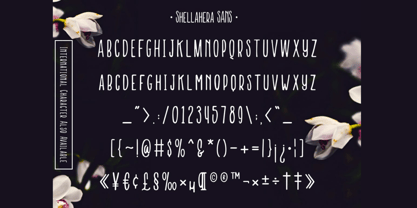 Semla Font Poster 8