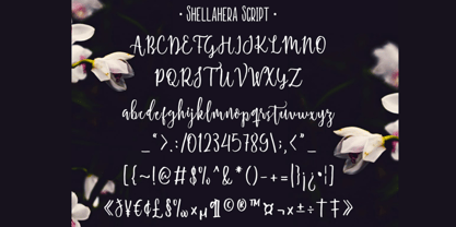 Semla Font Poster 6