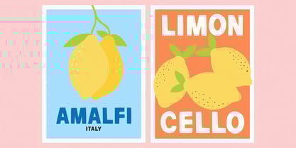 Lemon Martini Font Poster 3