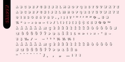 Fox Cerise Font Poster 12