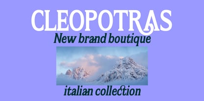 Flektura Font Poster 2