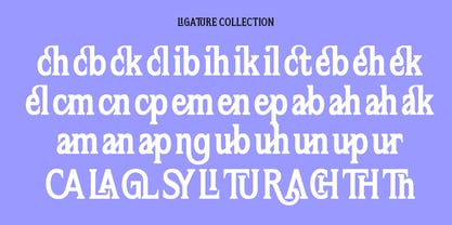 Flektura Font Poster 3