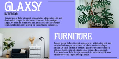 Flektura Font Poster 5