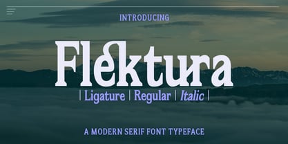 Flektura Font Poster 1