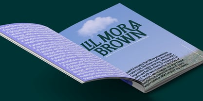 Flektura Font Poster 6