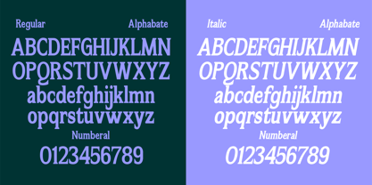 Flektura Font Poster 8