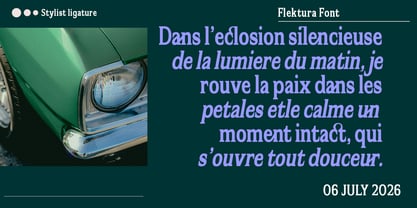 Flektura Font Poster 10