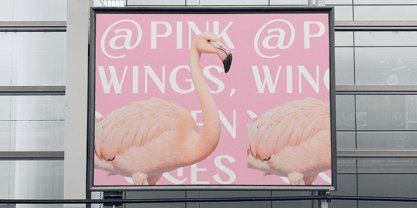 Drinkse Font Poster 9