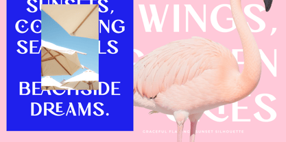 Drinkse Font Poster 10