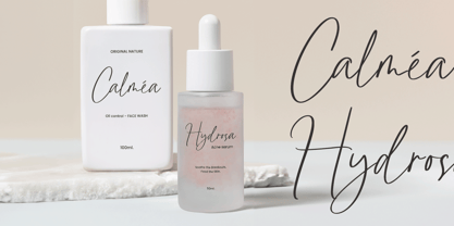 Rainlight Font Poster 5