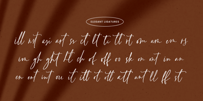 Rainlight Font Poster 13