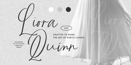 Rainlight Font Poster 9