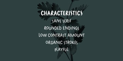 Parsley Sans Font Poster 12