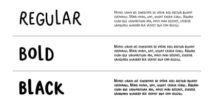 Parsley Sans Font Poster 2