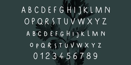 Parsley Sans Font Poster 5