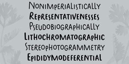 Parsley Sans Font Poster 7