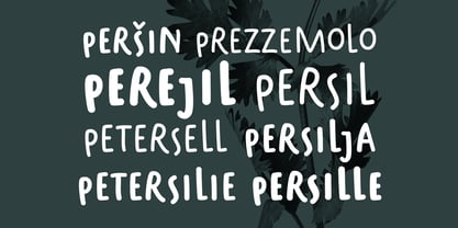 Parsley Sans Font Poster 3