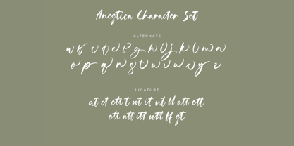 Asikae Font Poster 11