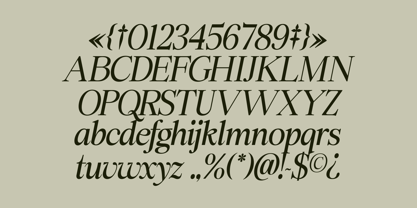 Swarsh Daisy Font Poster 7