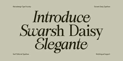 Swarsh Daisy Font Poster 2