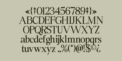 Swarsh Daisy Font Poster 6