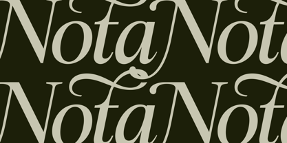 Swarsh Daisy Font Poster 8