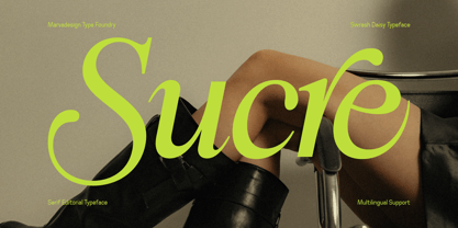 Swarsh Daisy Font Poster 3