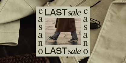 Swarsh Daisy Font Poster 4
