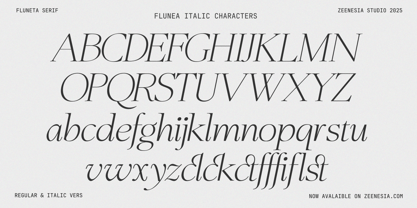 Fluneta Font Poster 14