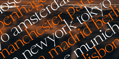 Fluneta Font Poster 4