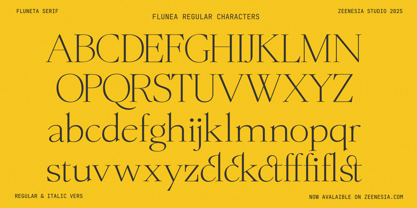 Fluneta Font Poster 13