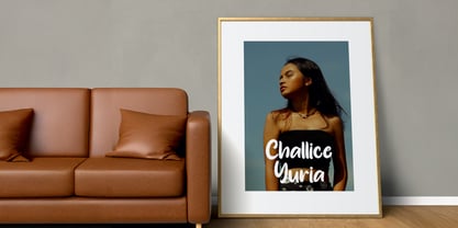 Susanow Font Poster 6