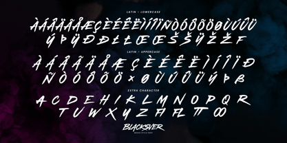 Blacksver Font Poster 11