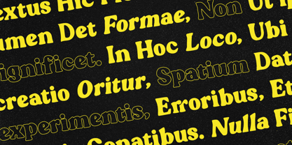 Blogeris Display Font Poster 10