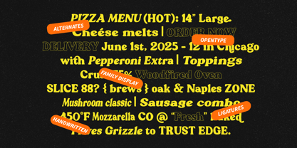 Blogeris Display Font Poster 2