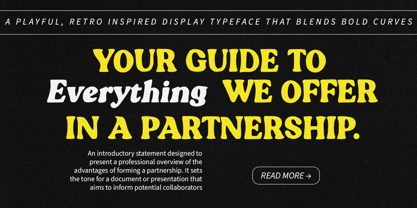 Blogeris Display Font Poster 4