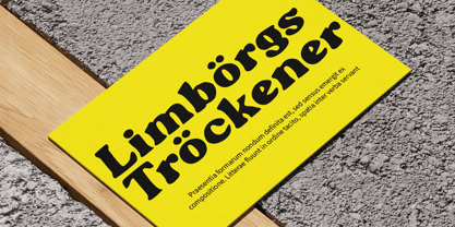 Blogeris Display Font Poster 5