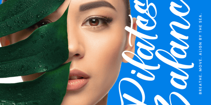 Bellfast Telford Font Poster 7