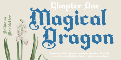 Kolinova Blackletter Font Poster 4