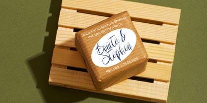 Letters to Elise Font Poster 4