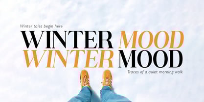 Ganik Font Poster 13