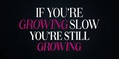 Ganik Font Poster 14