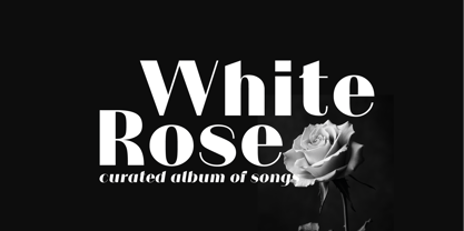 Mogray EX Font Poster 4