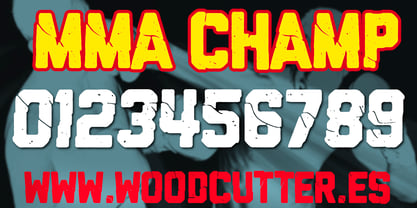 MMA Champ Font Poster 5