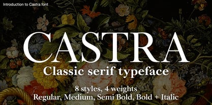Castra Font Poster 1