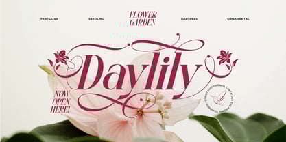 Glow More Font Poster 2